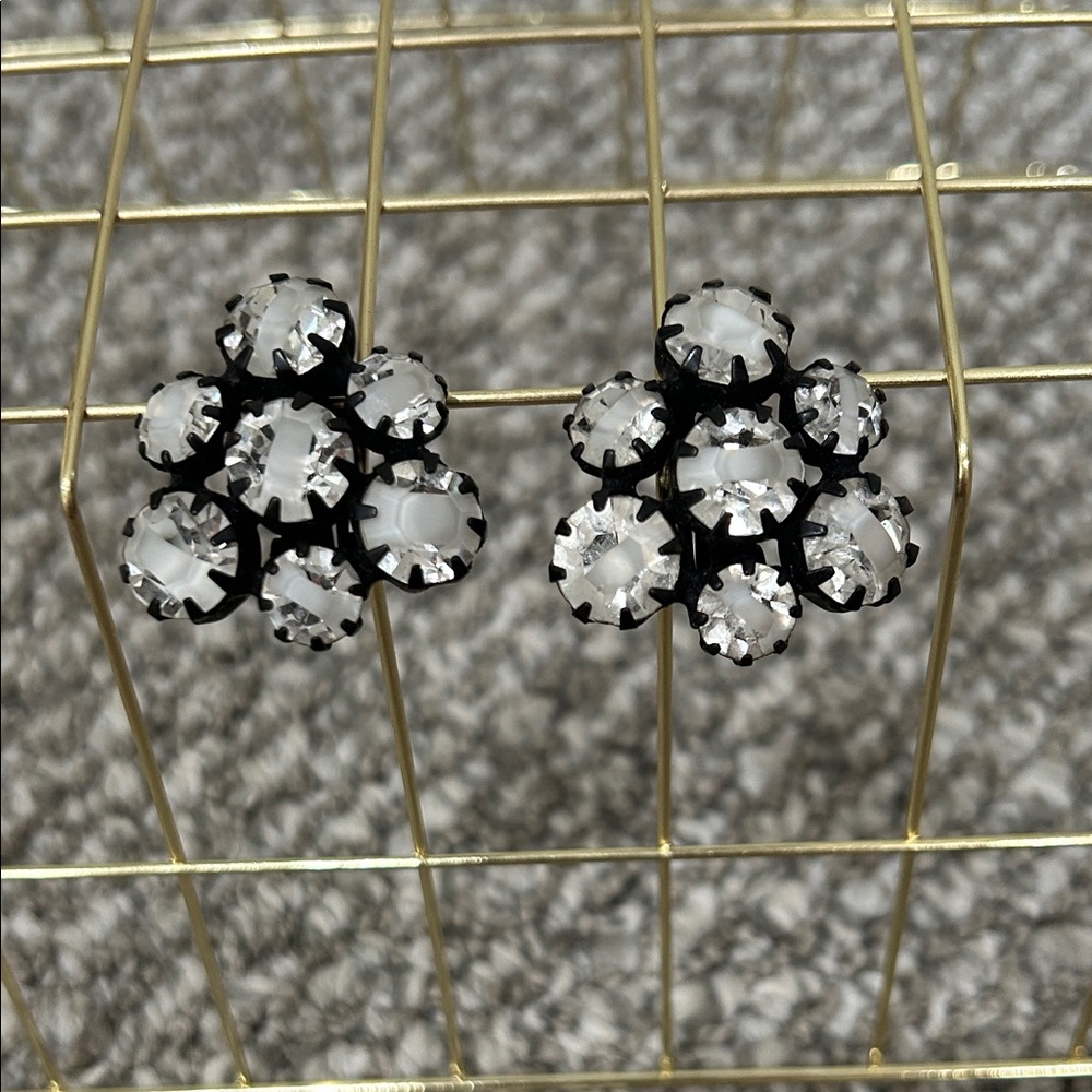 Chic Black and Silver Crystal Earrings